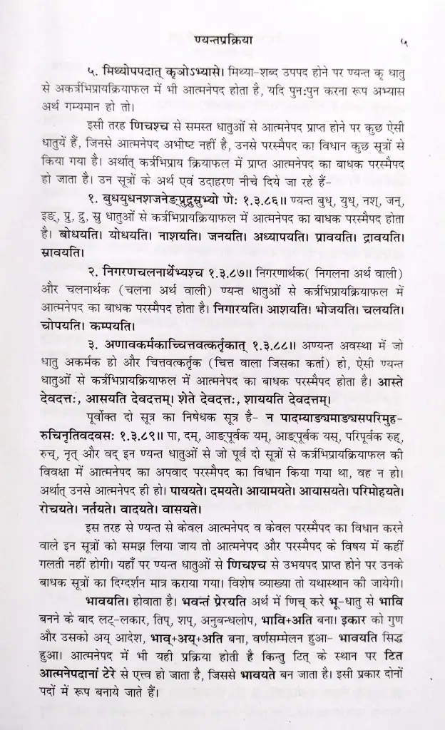 वैयाकरण सिद्धांतकौमुदी - णिच्प्रकरण से लकारार्थप्रकरण तक (6).webp