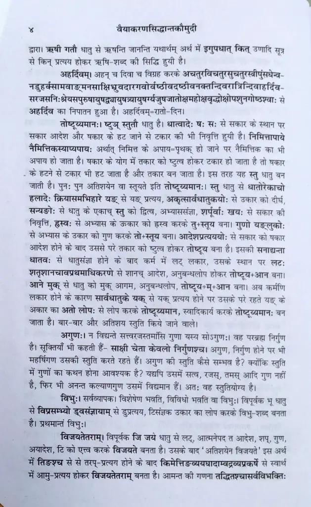 वैयाकरणसिद्धांतकौमुदी - भ्वादि से चुरादि तक - दशगणी  (6).webp